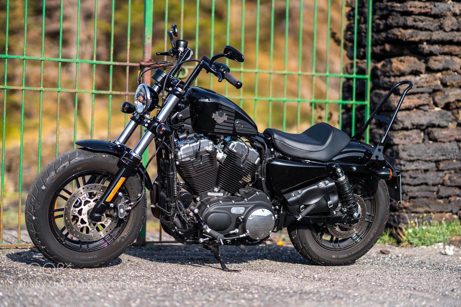 Sony a7R III sample photo. Harley-davidson forty eight photography