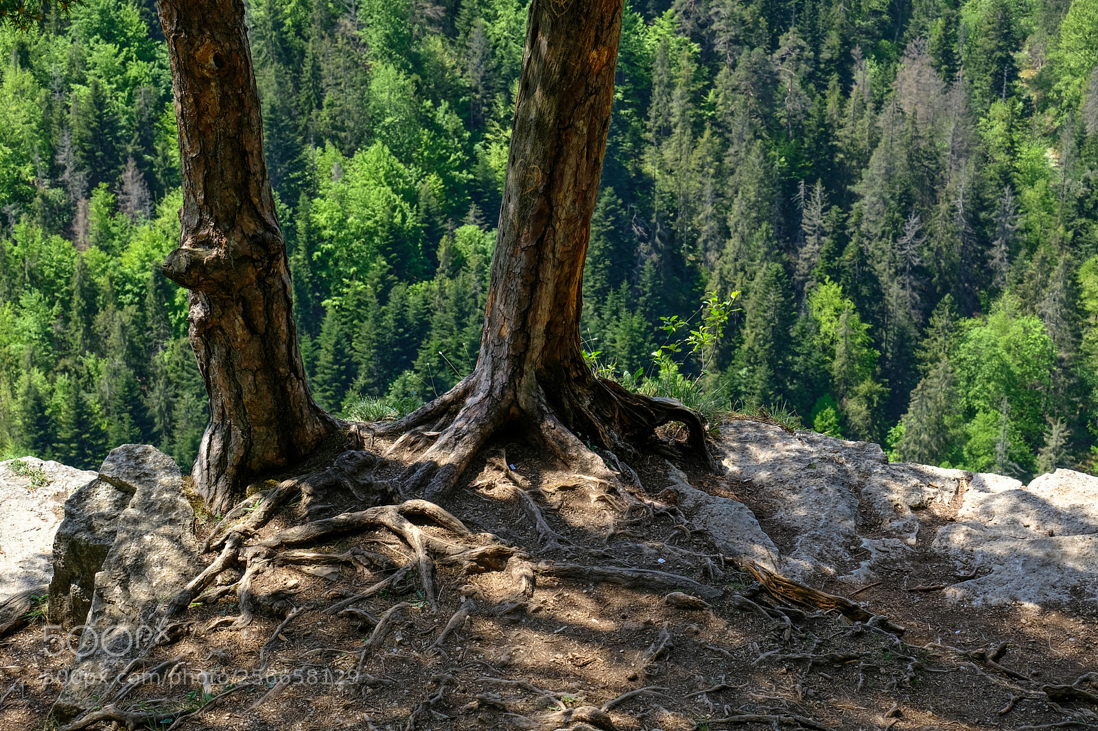 Fujifilm X-T20 sample photo. Couple on the edge photography