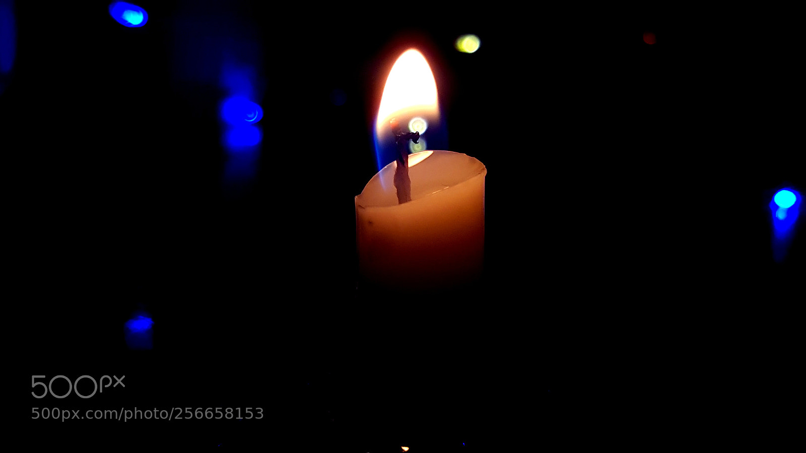 Samsung Galaxy Note5 sample photo. Untitled photography