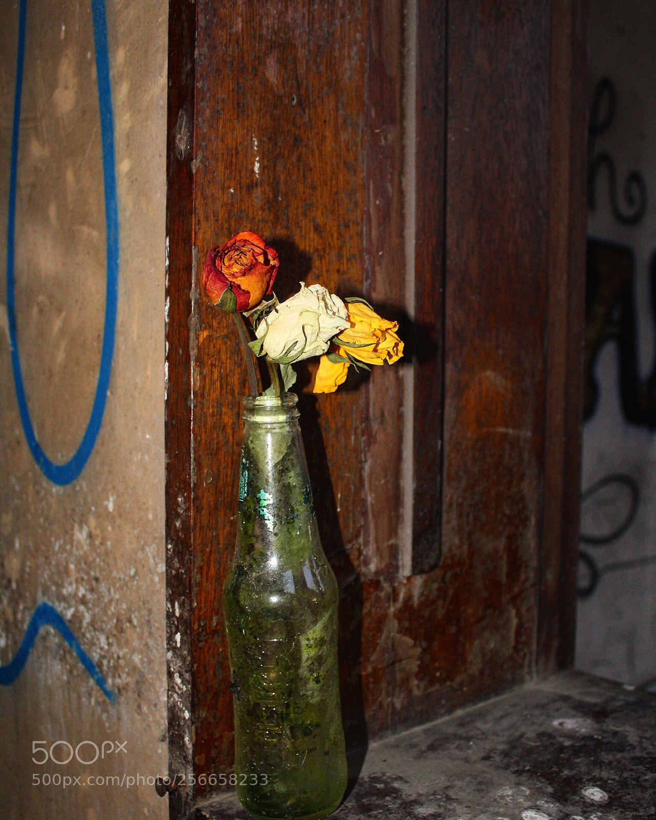 Canon EOS 1300D (EOS Rebel T6 / EOS Kiss X80) sample photo. Beauty & decay  photography