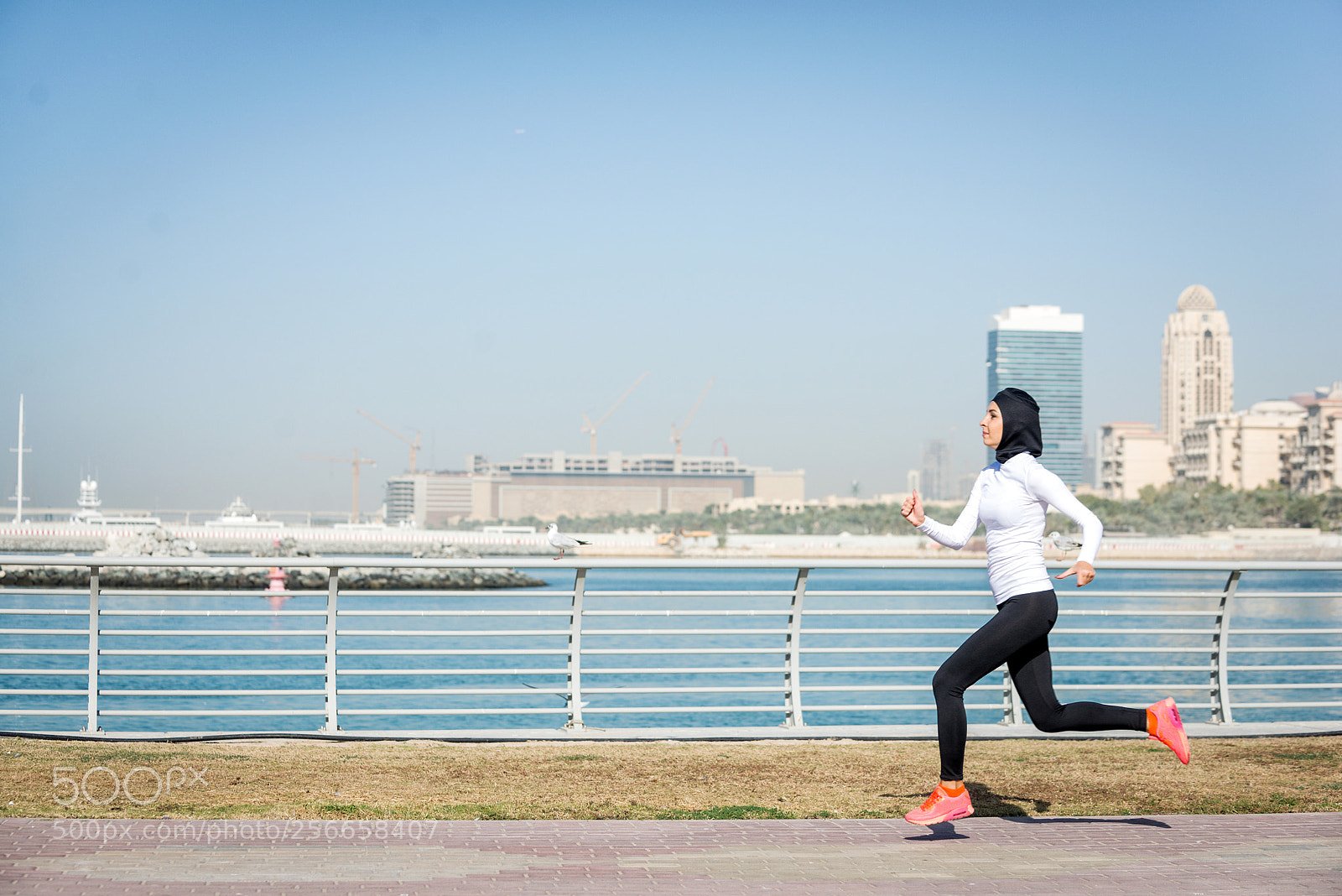 Nikon D610 sample photo. Arabian woman training outdoors photography