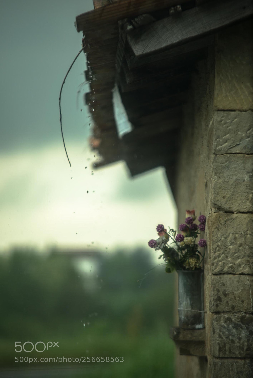 Nikon D600 sample photo. Shelter  photography