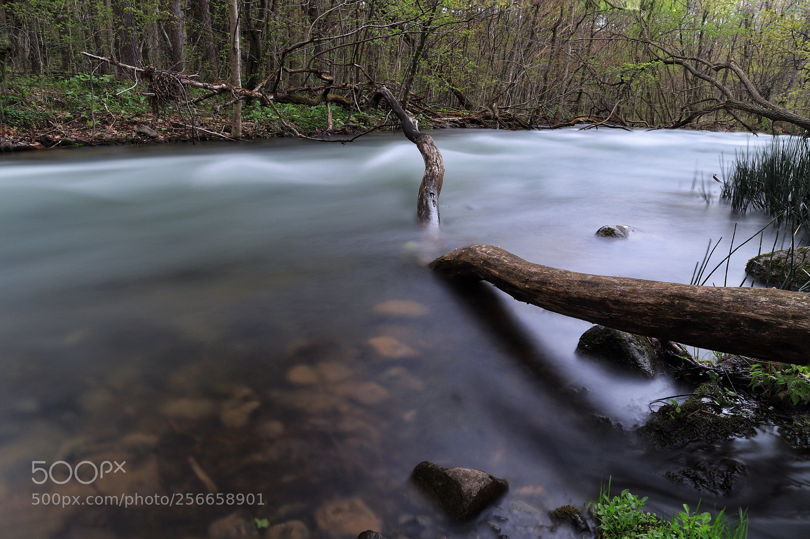 Canon EOS 6D Mark II sample photo. Untitled photography