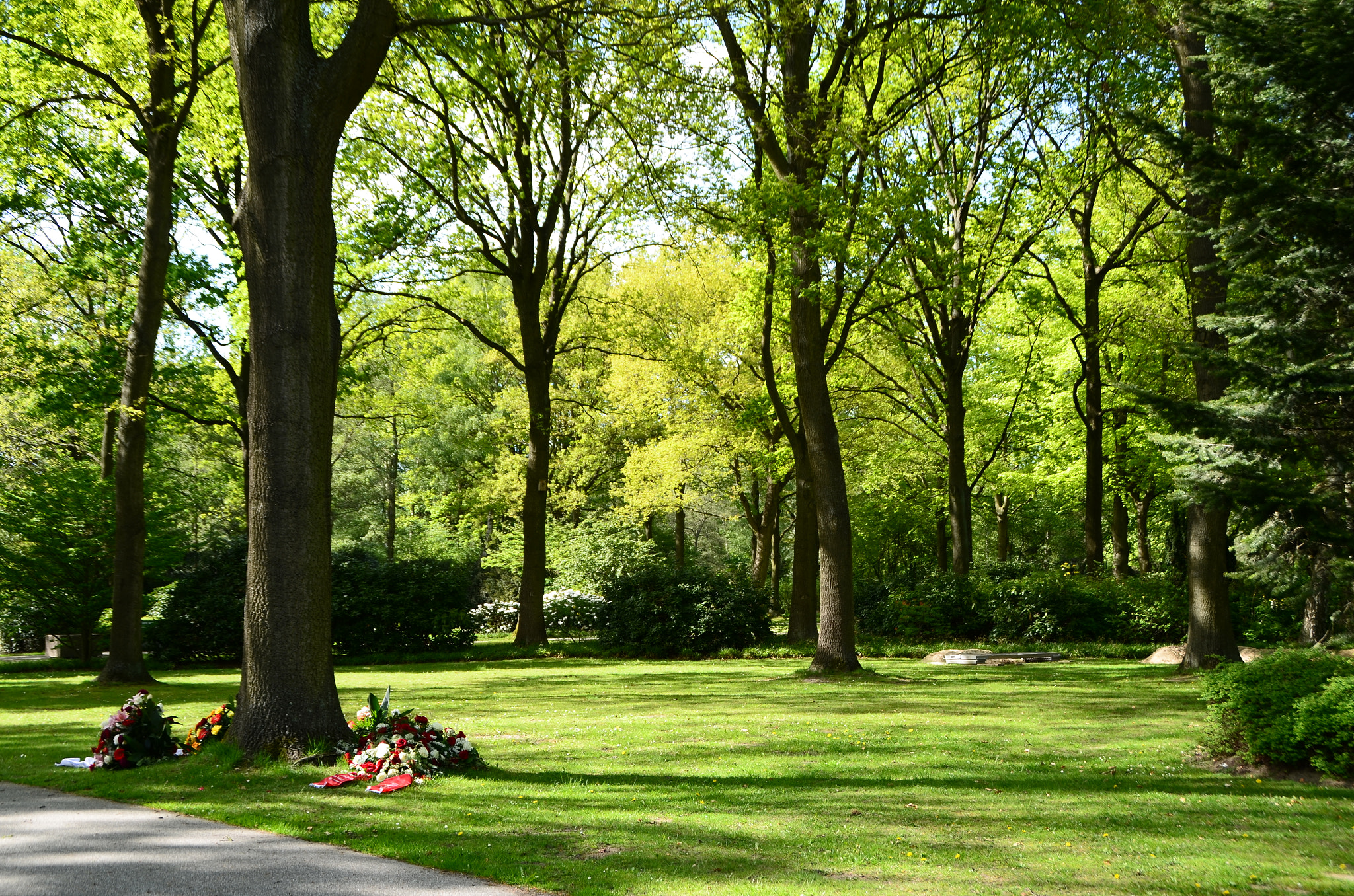 Nikon D5100 sample photo. The grave photography