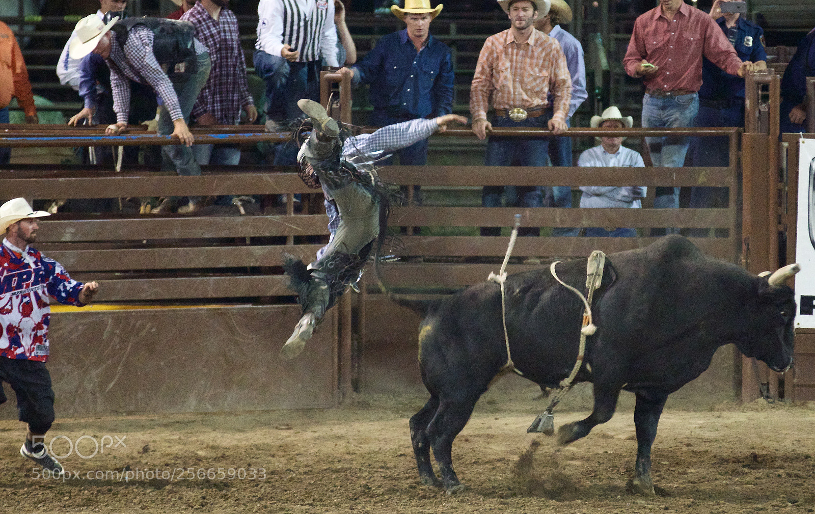 Sony ILCA-77M2 sample photo. Bull 1 cowboy 0 photography