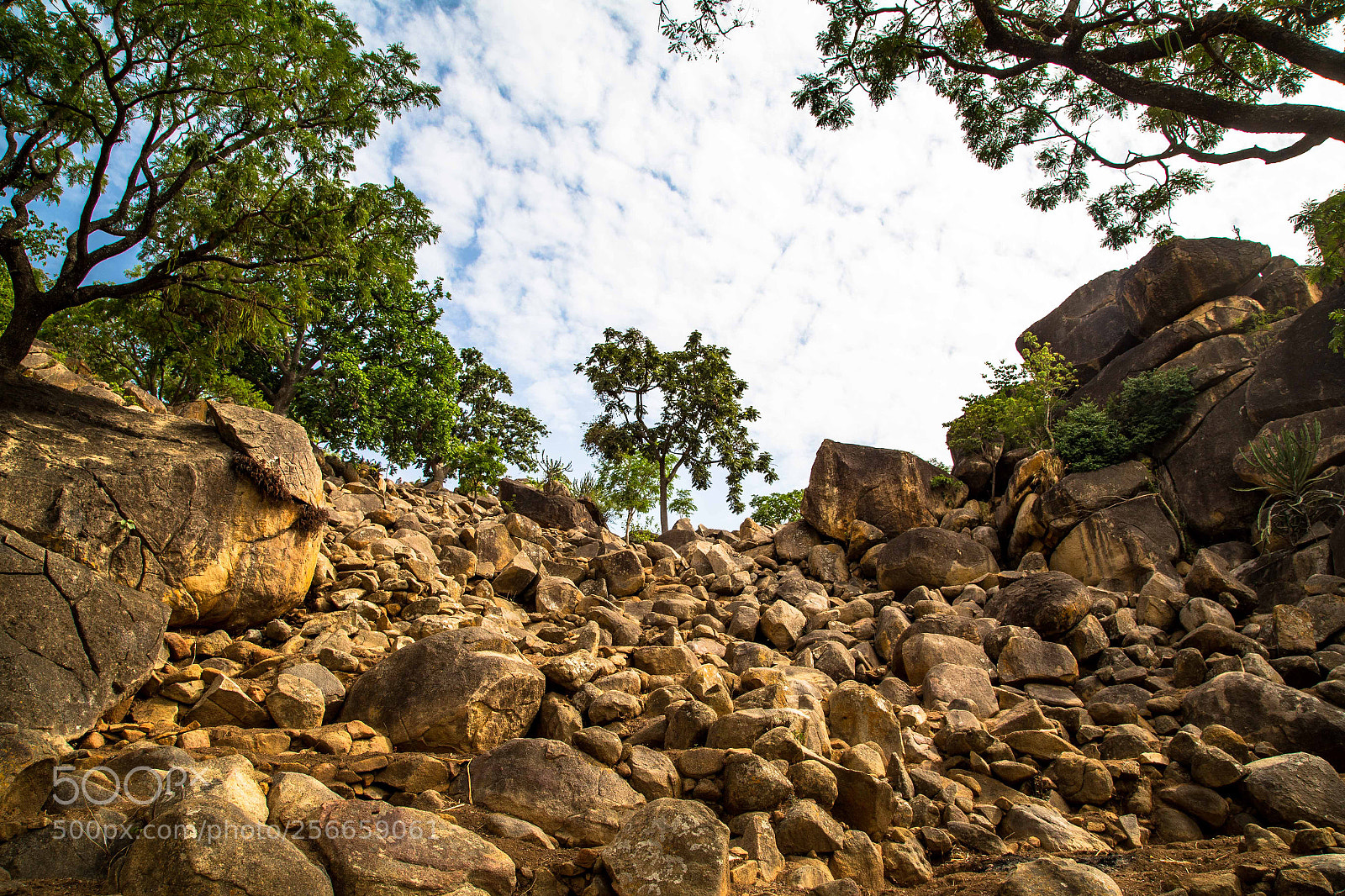 Canon EOS 6D sample photo. Hiking in pankshin photography