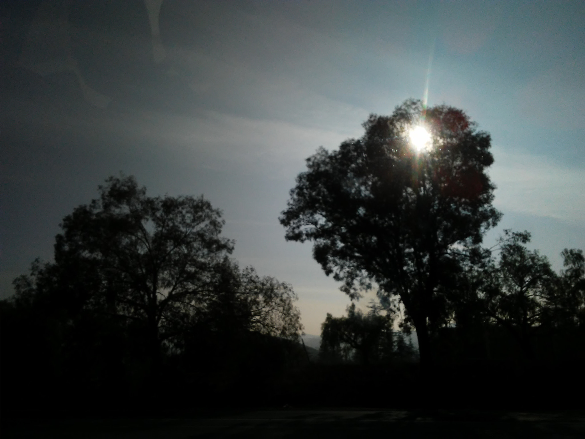 LG K10 sample photo. Dark t photography