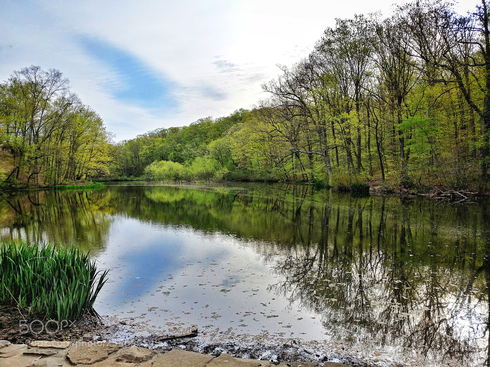 LG V20 sample photo. Seeley's pond, nj photography