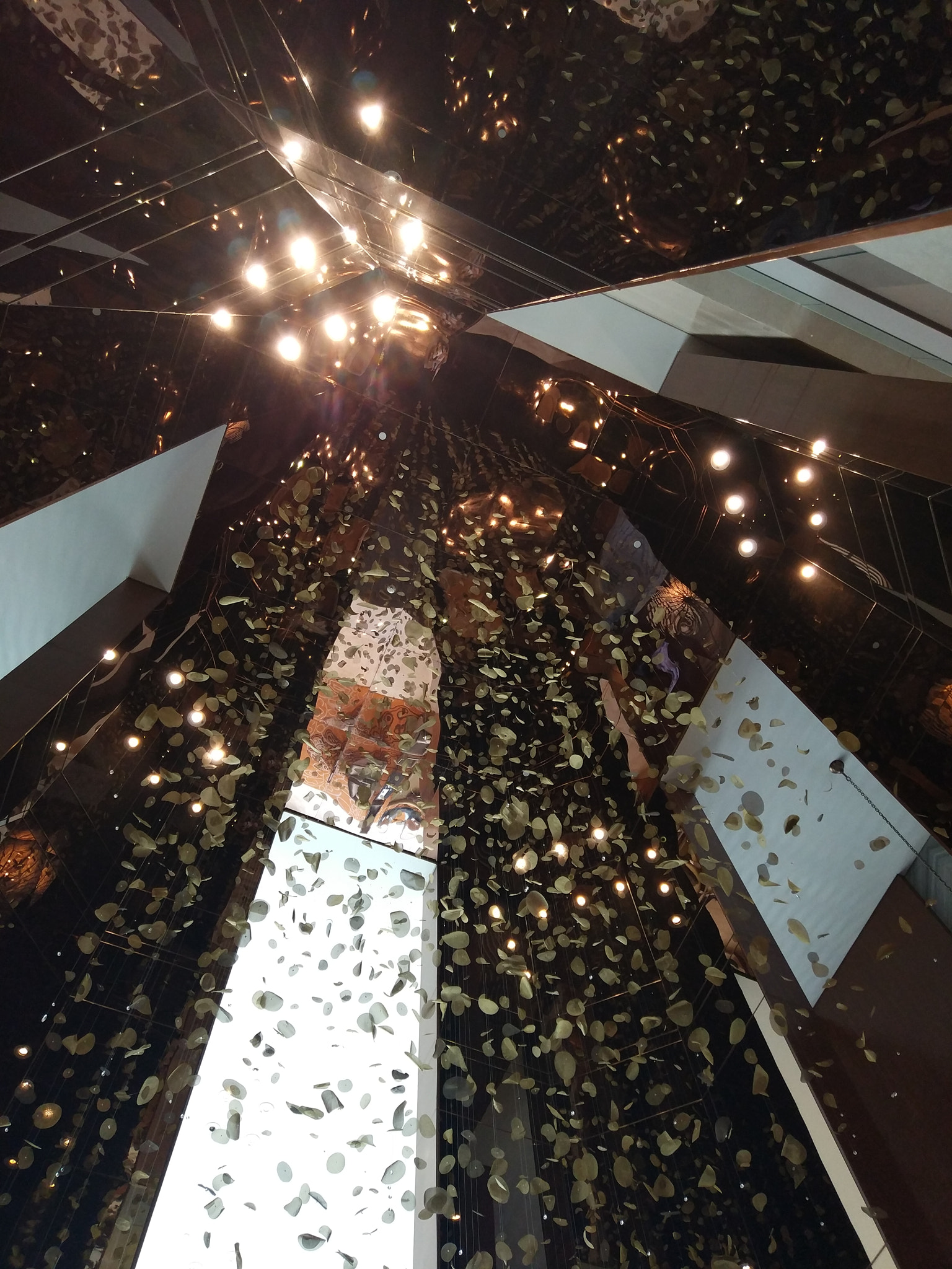 Xiaomi MI 5s sample photo