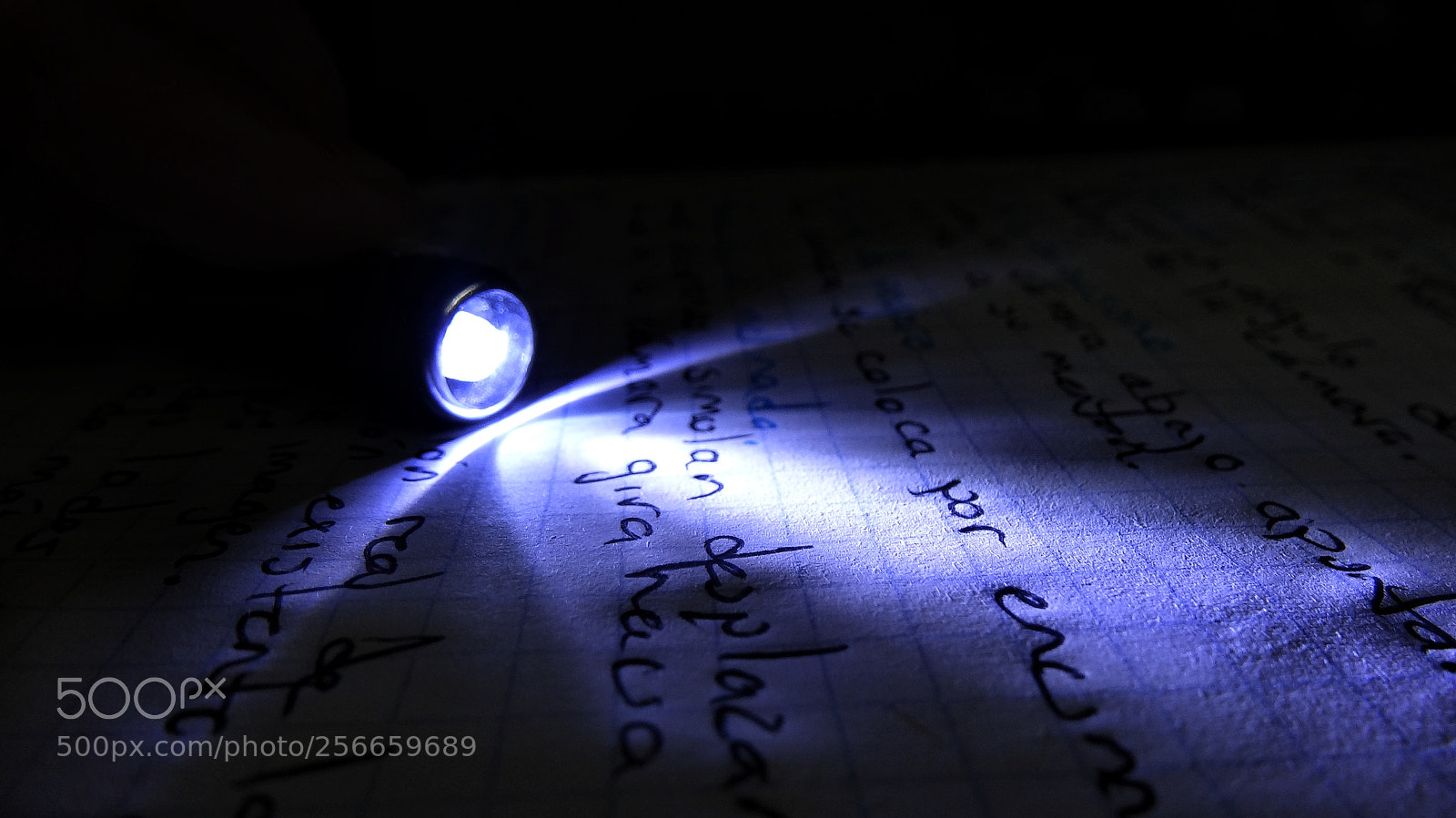 Sony Cyber-shot DSC-HX20V sample photo. Flashlight photography