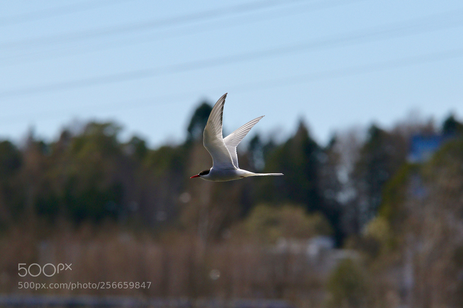 Canon EOS 80D sample photo. Untitled photography