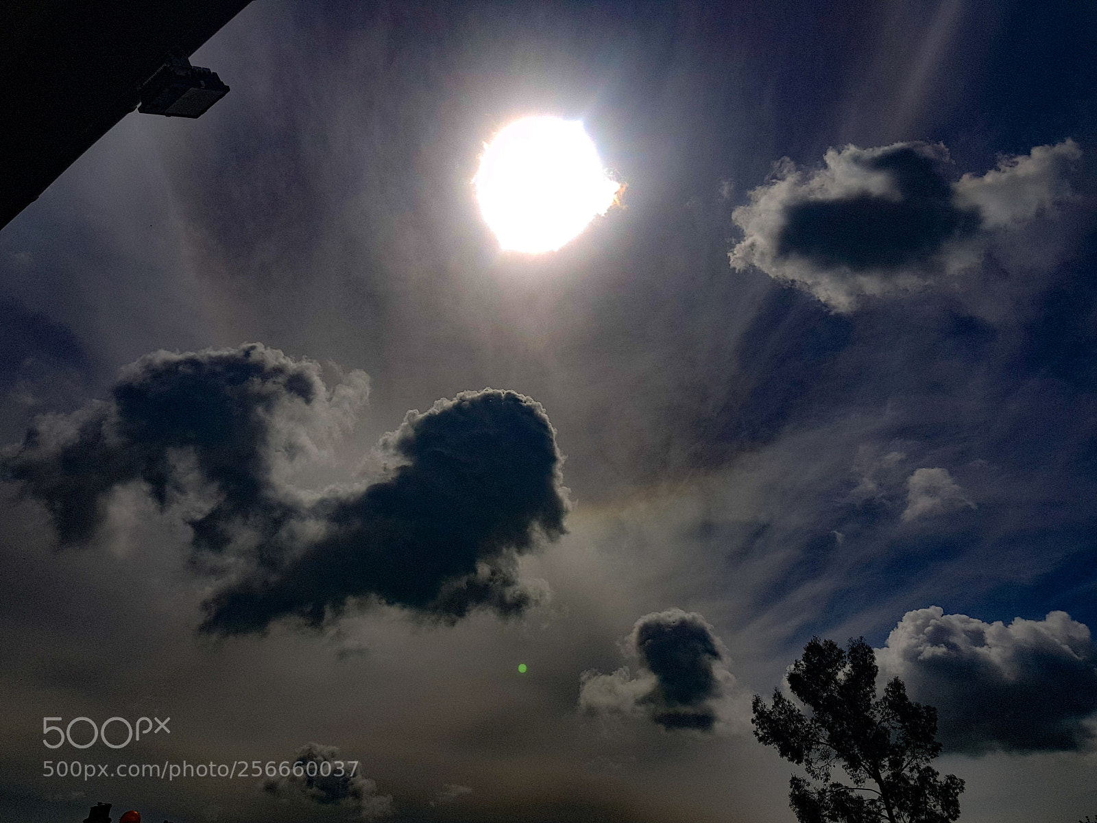 Samsung Galaxy S8+ sample photo. Untitled photography