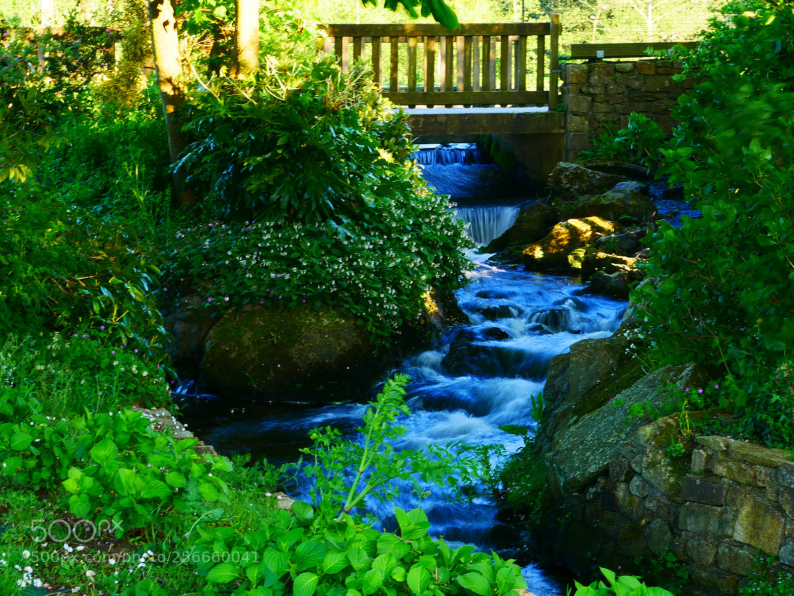Panasonic Lumix DMC-GX85 (Lumix DMC-GX80 / Lumix DMC-GX7 Mark II) sample photo. Untitled photography