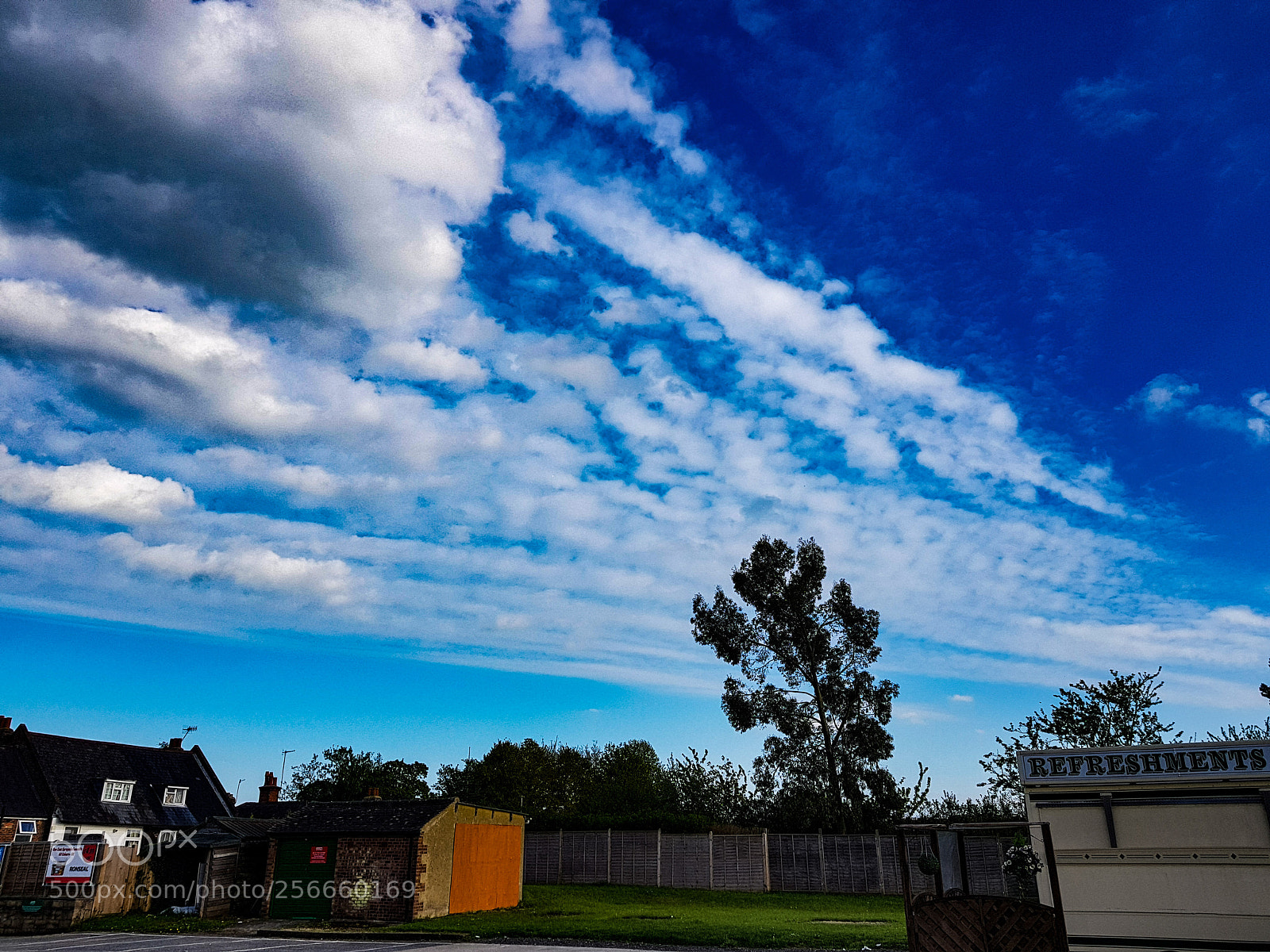 Samsung Galaxy S8+ sample photo. Untitled photography
