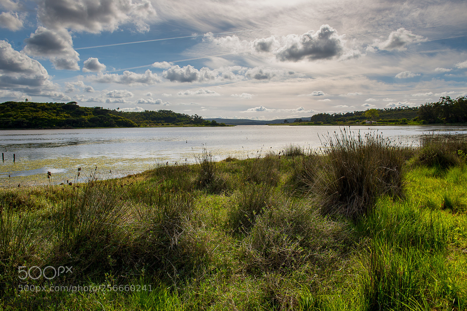 Nikon D610 sample photo. A lagoa photography