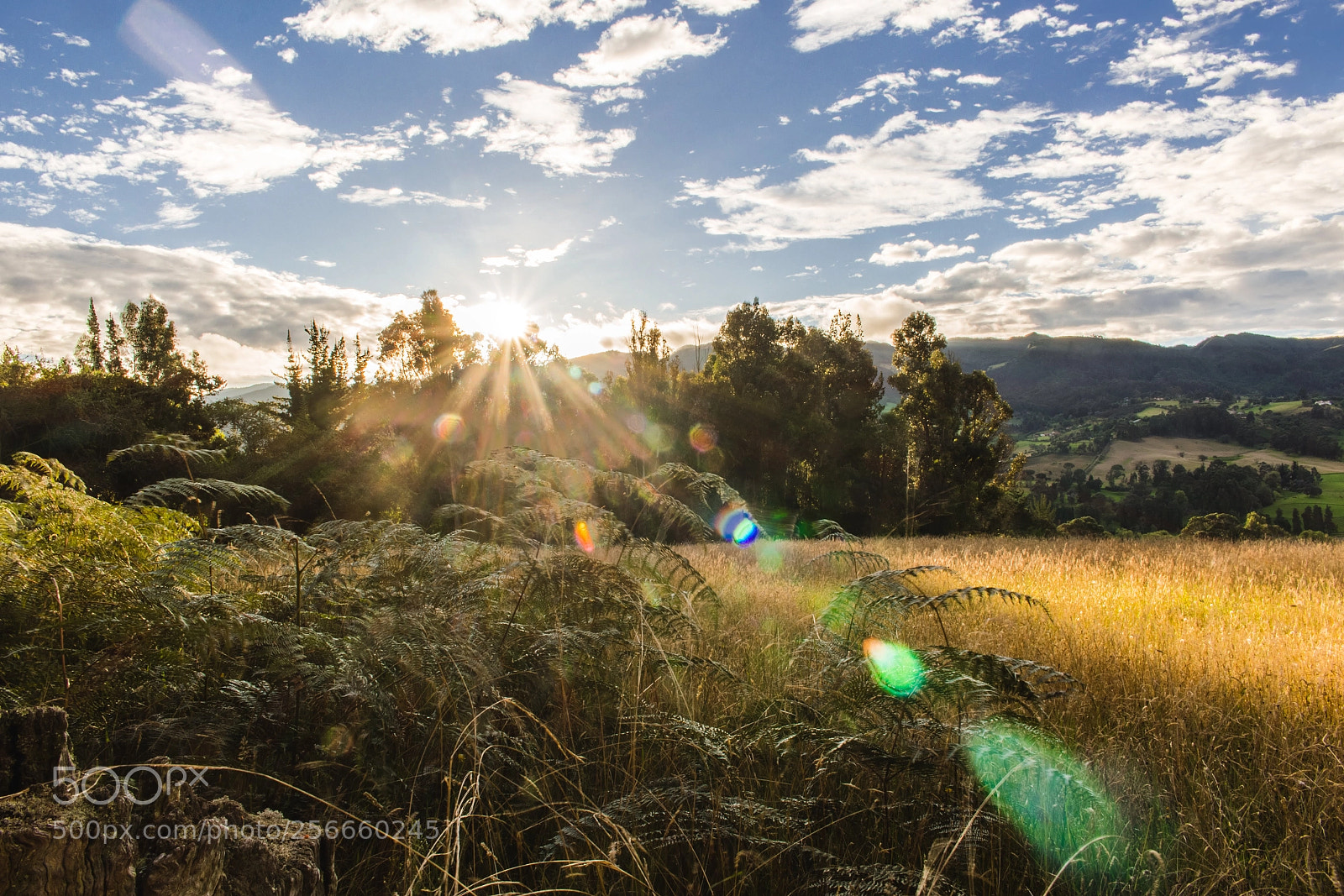 Canon EOS 700D (EOS Rebel T5i / EOS Kiss X7i) sample photo. Sunrise photography