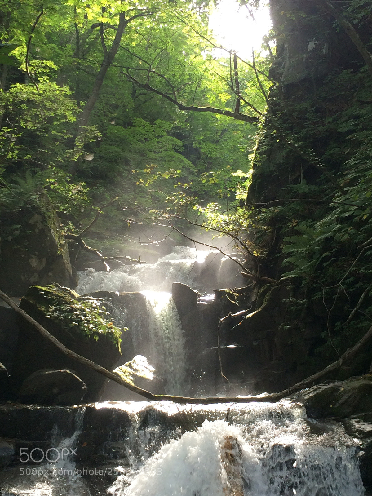 Apple iPhone 5s sample photo. Japan oirase photography