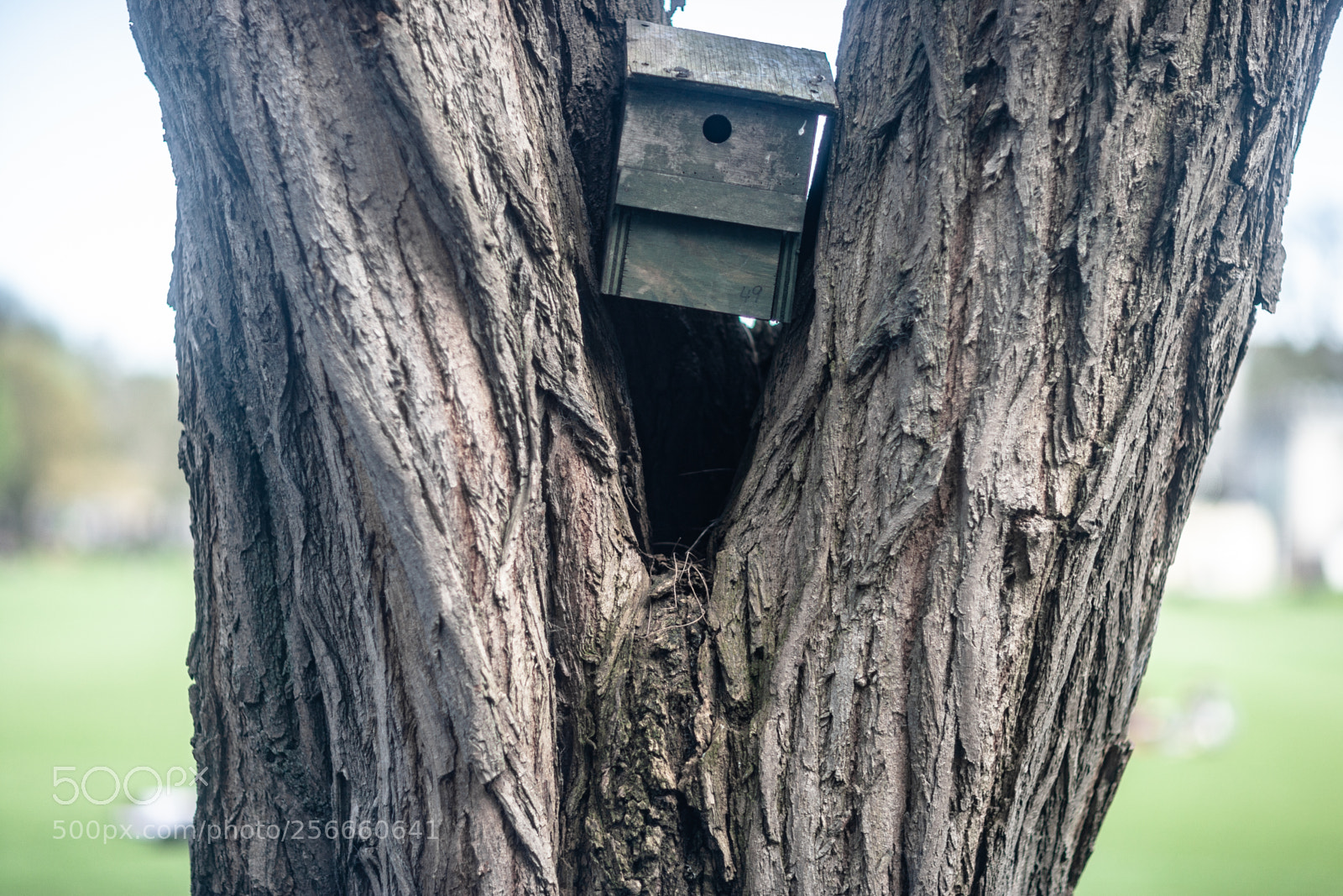 Canon EOS-1Ds Mark II sample photo. Trinity college photography