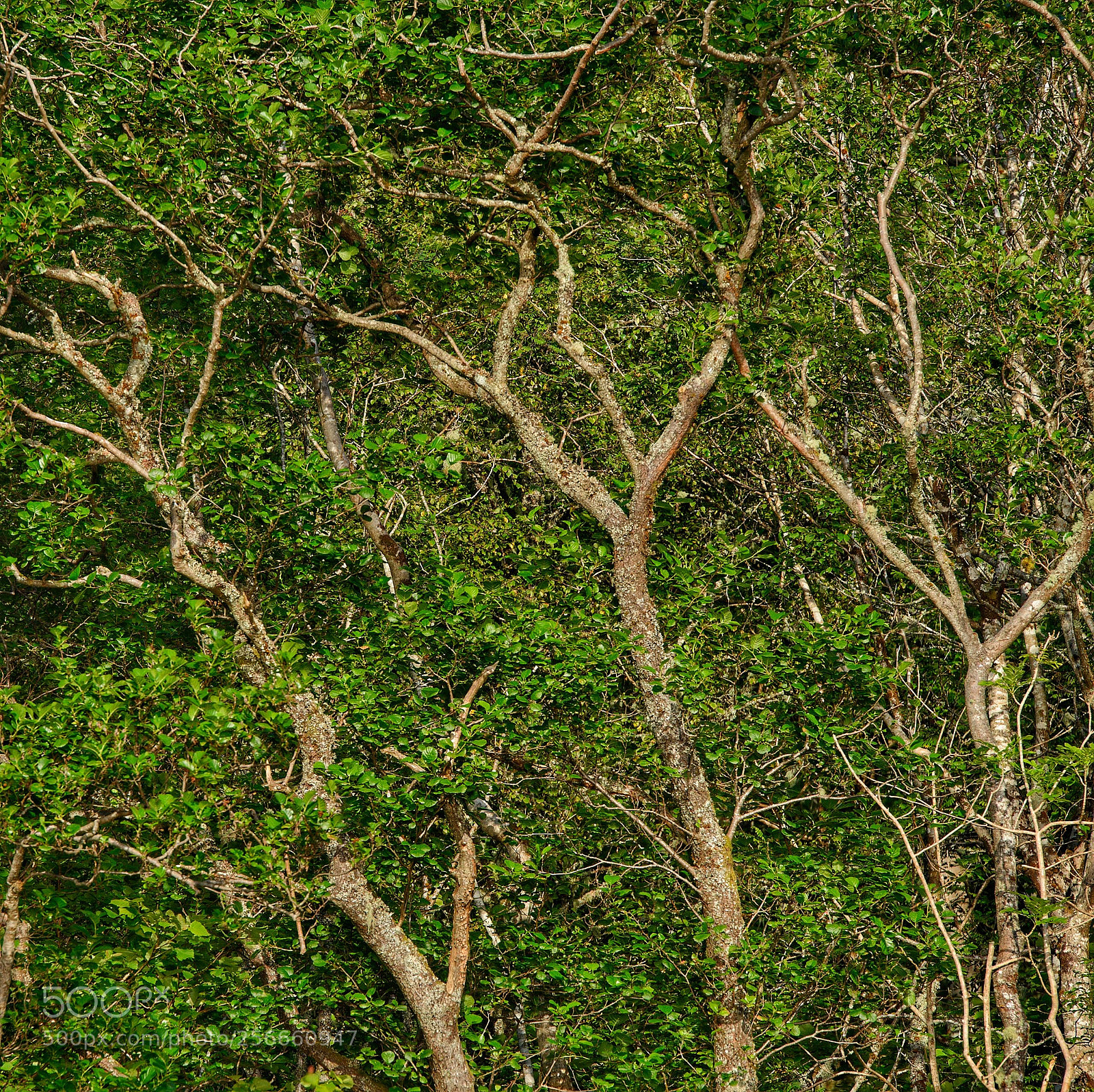 Nikon D610 sample photo. Untitled photography
