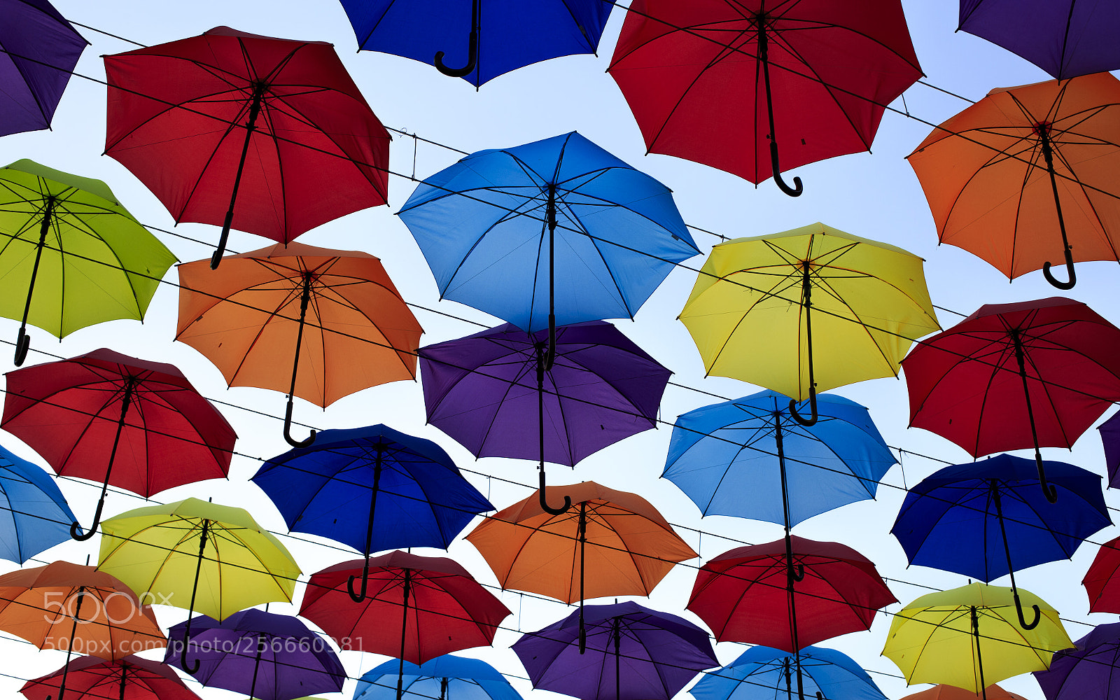 Canon EOS 6D sample photo. Umbrellas photography