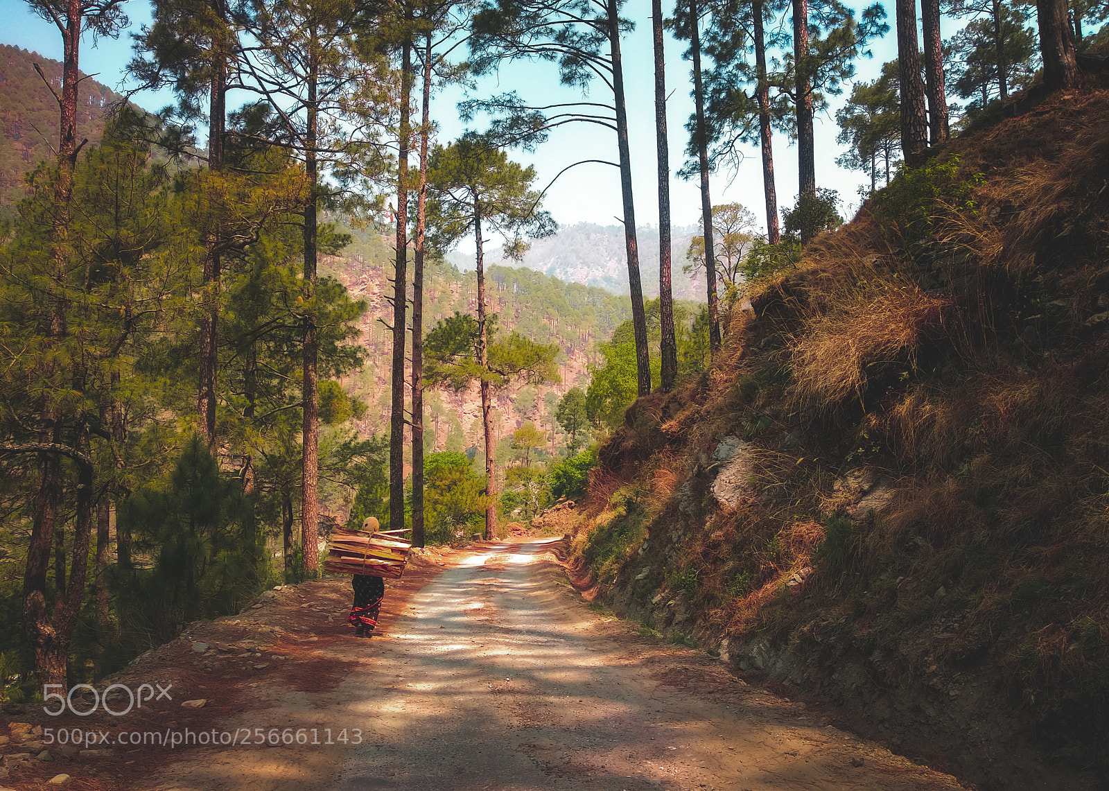Xiaomi Mi A1 sample photo. A picture paints a photography