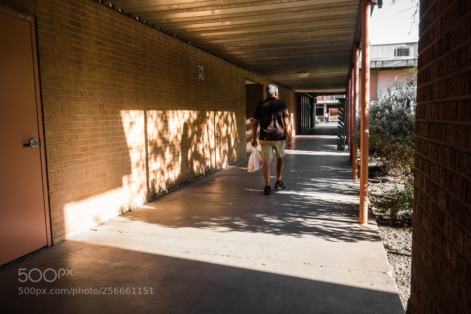 Sony Cyber-shot DSC-RX100 sample photo. Brown shadow photography