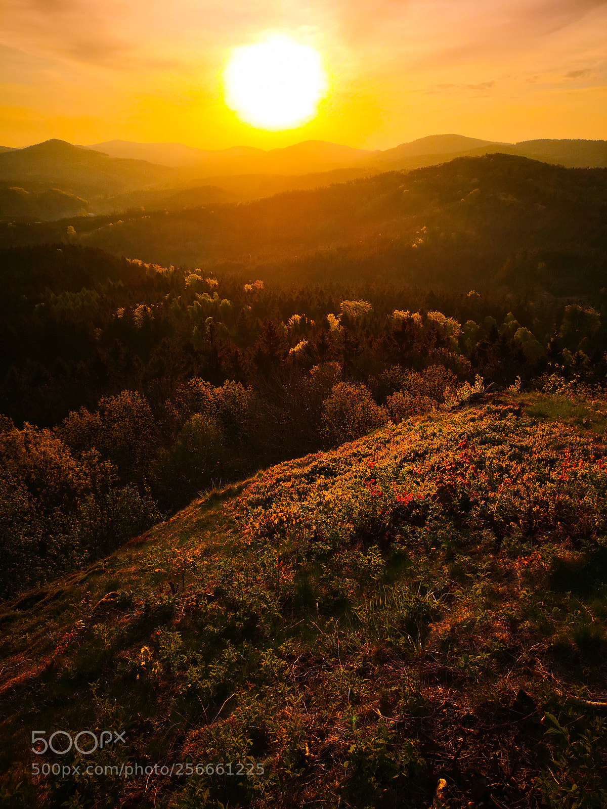 HUAWEI CLT-L29 sample photo. Sunrise photography