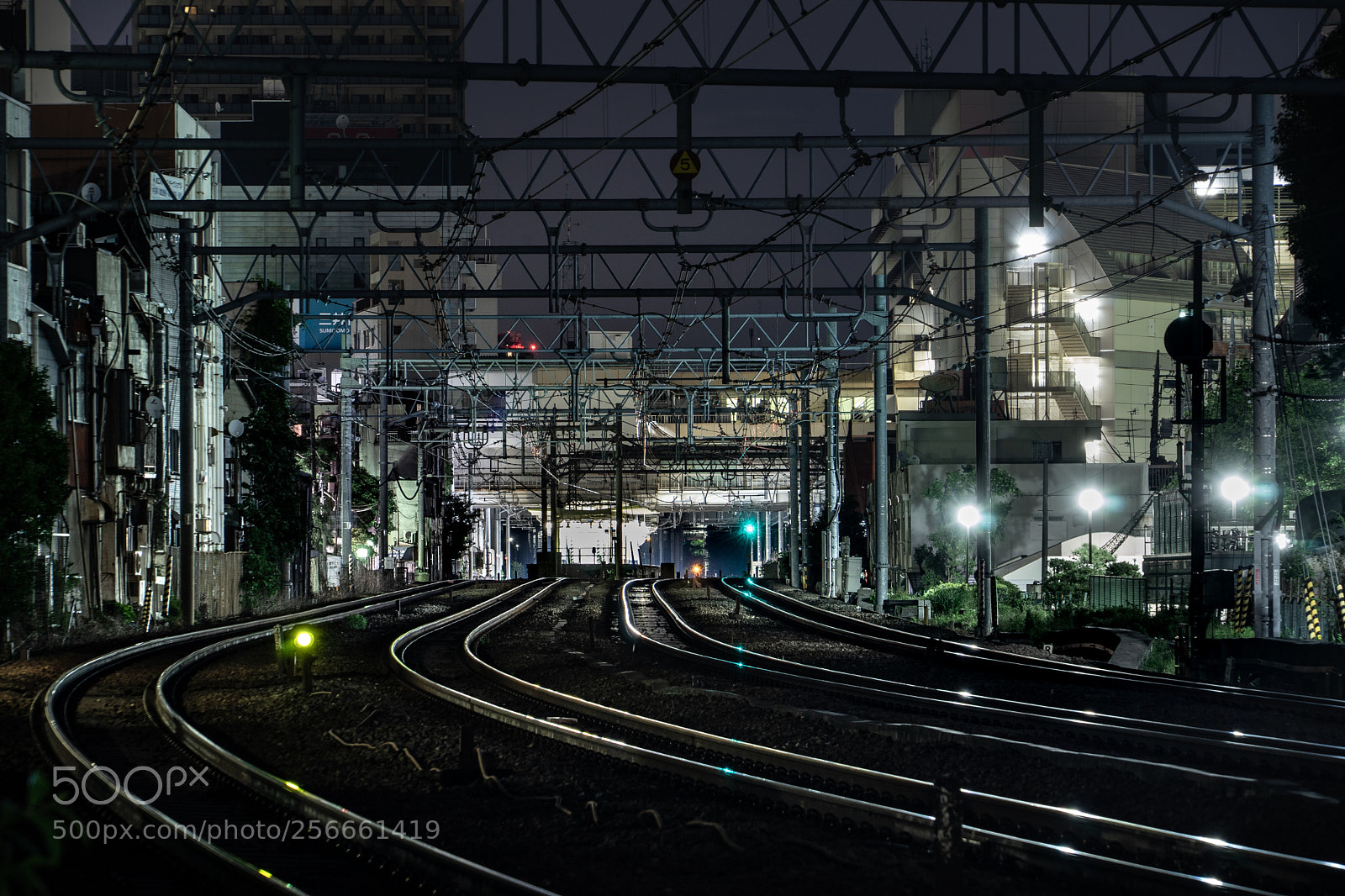 Sony a7 sample photo. Midnight station photography