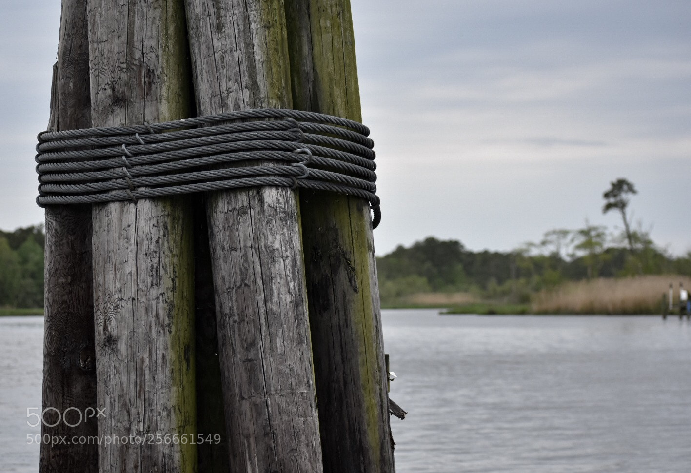 Nikon D3400 sample photo. Pillar photography