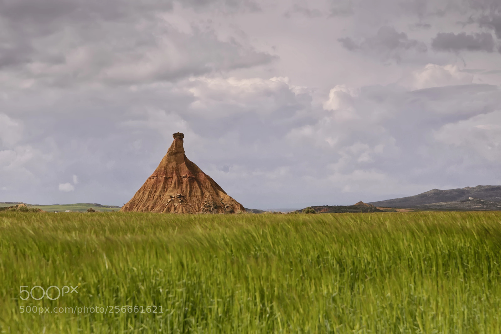 Nikon D610 sample photo. Spring castle photography