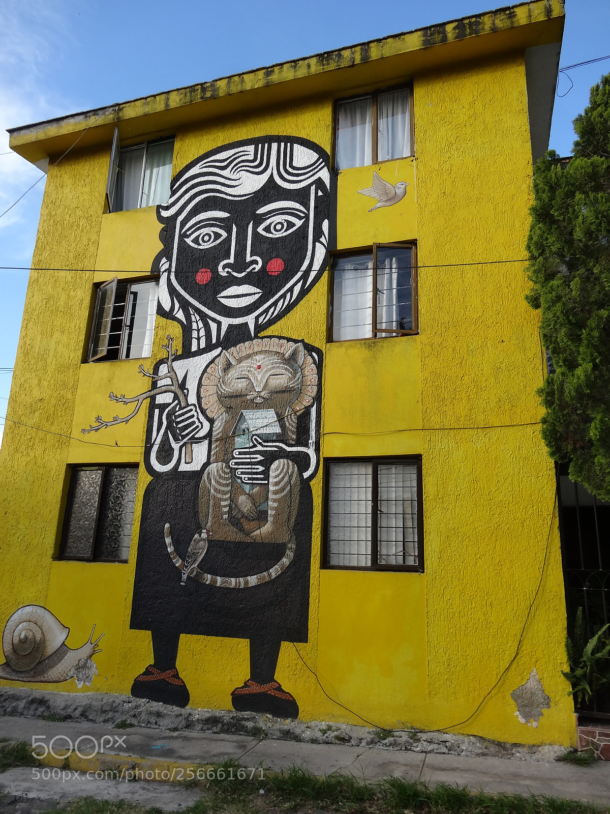 Sony Cyber-shot DSC-HX20V sample photo. Street art photography