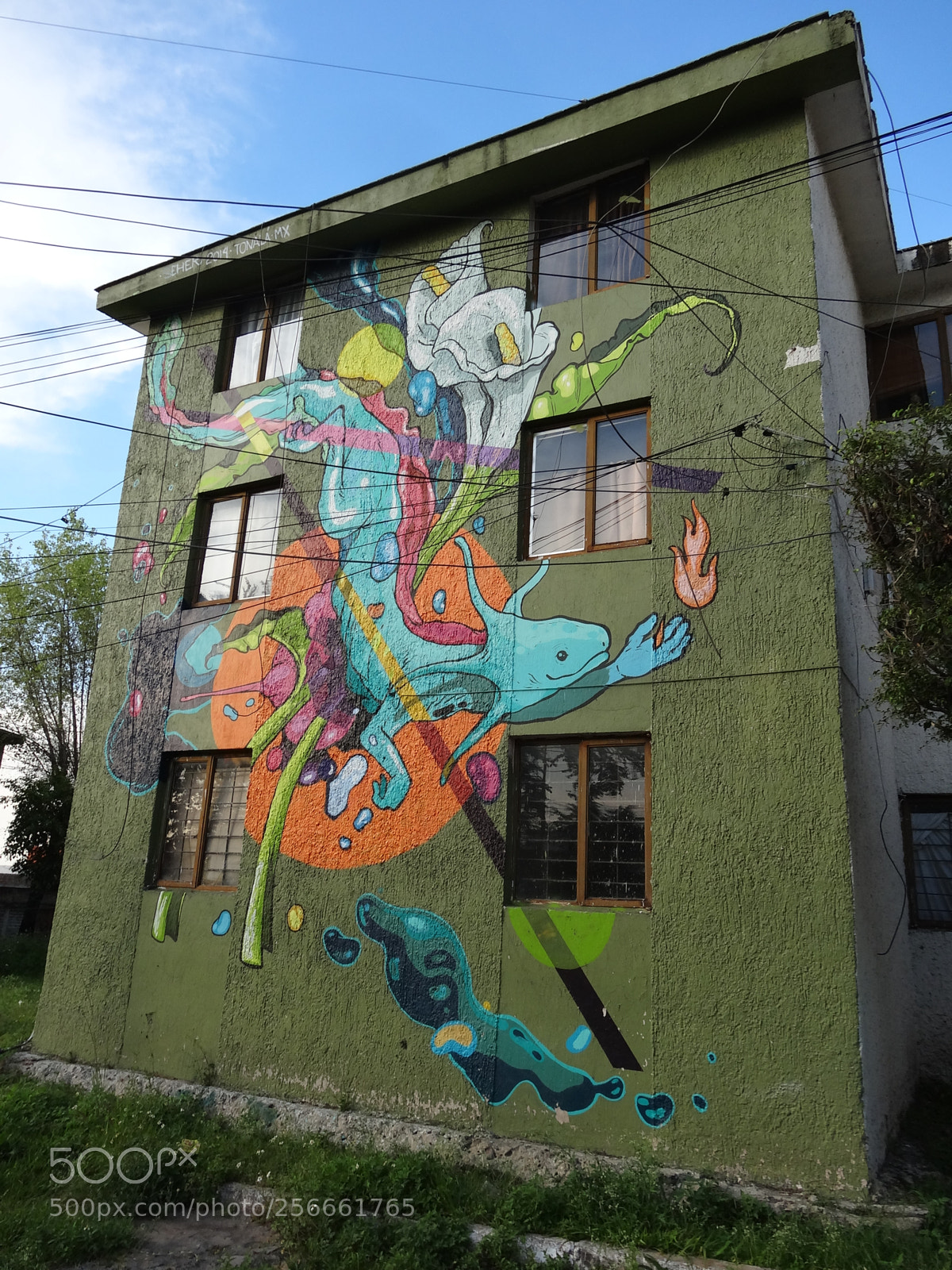 Sony Cyber-shot DSC-HX20V sample photo. Street art x3 photography