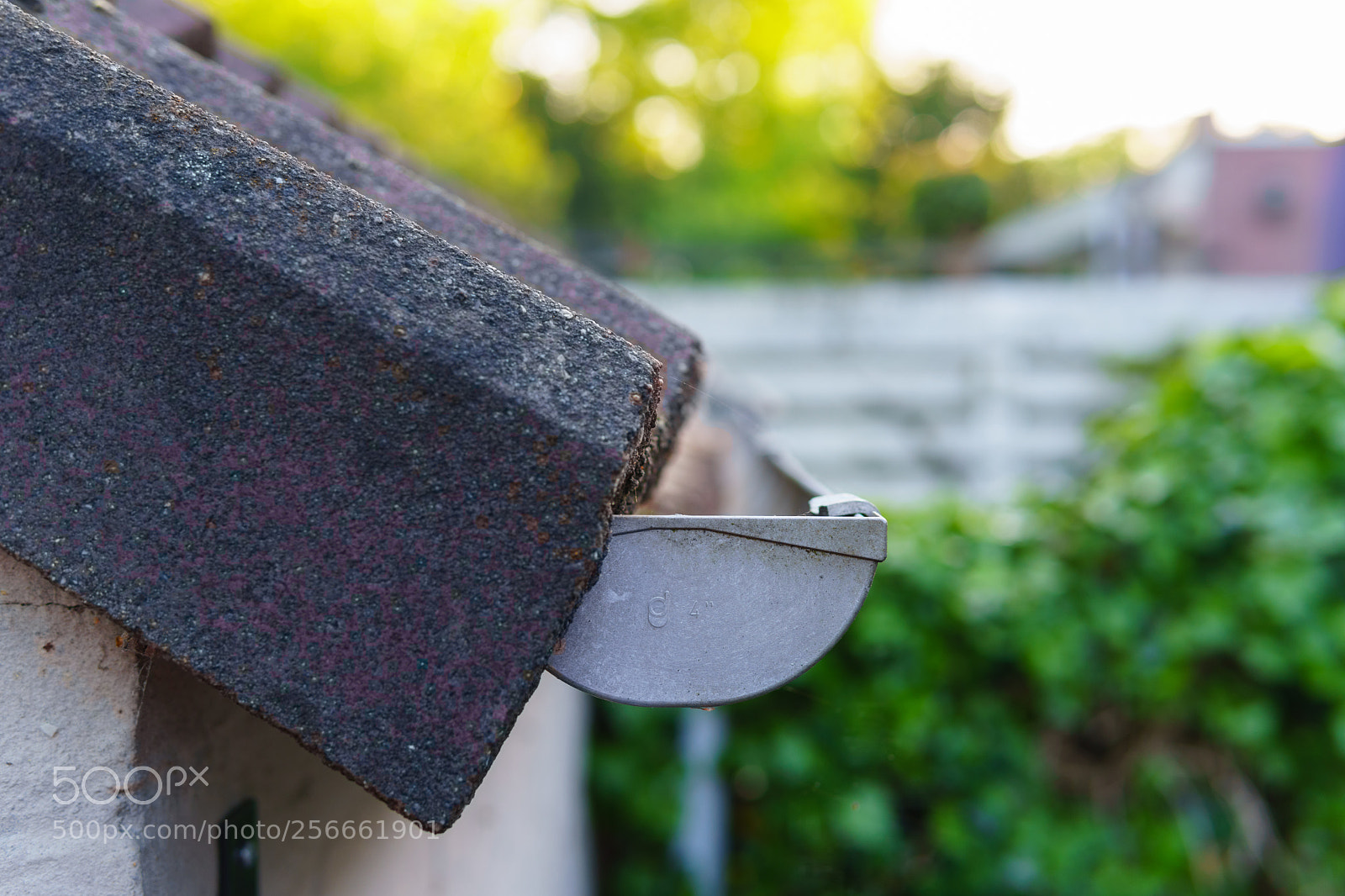 Sony a6300 sample photo. Roof photography