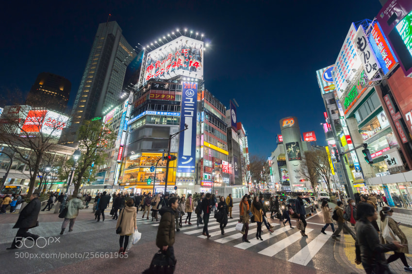 Nikon D800 sample photo. Tokyo en İyi yerler photography