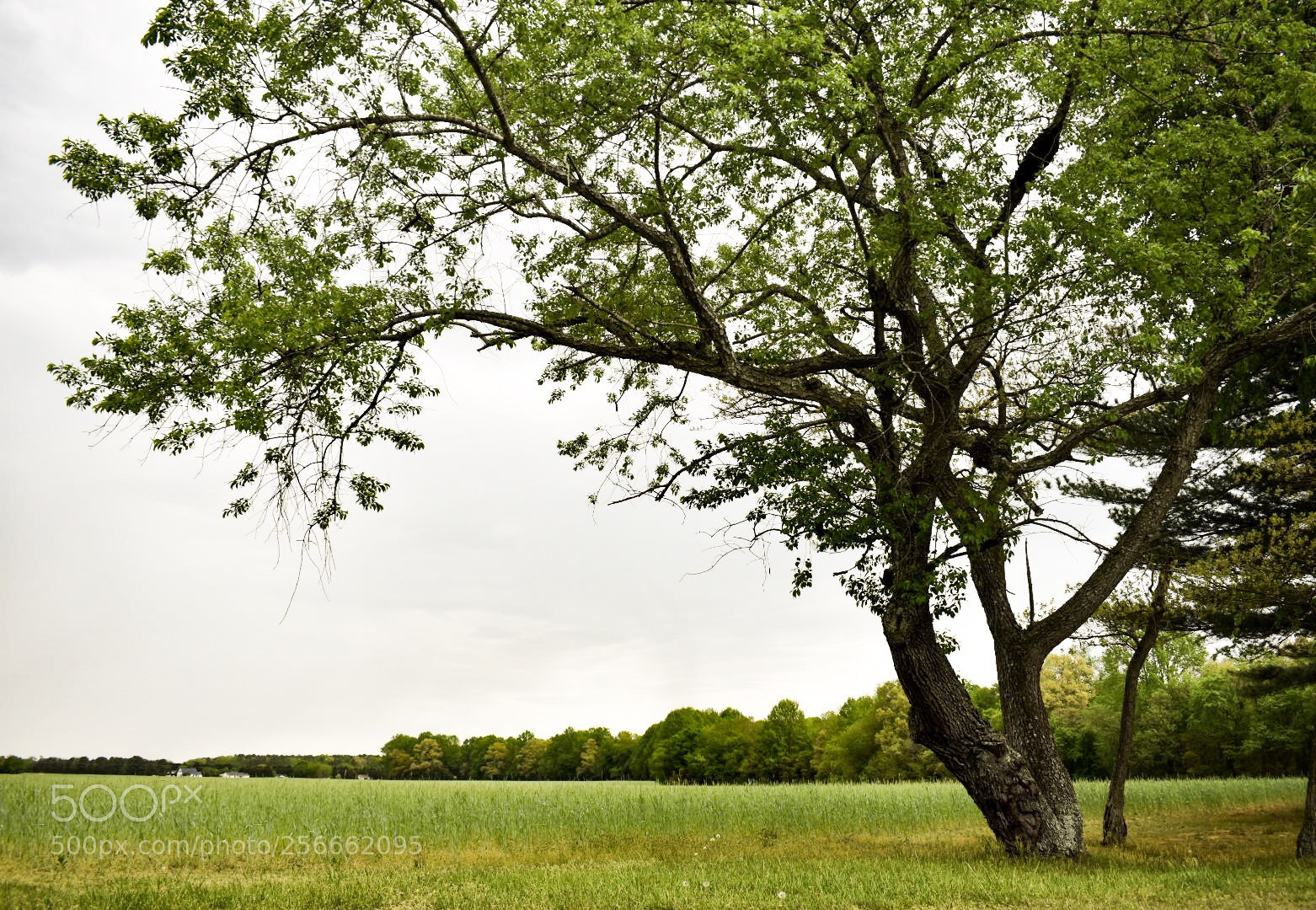 Nikon D3400 sample photo. Framing photography