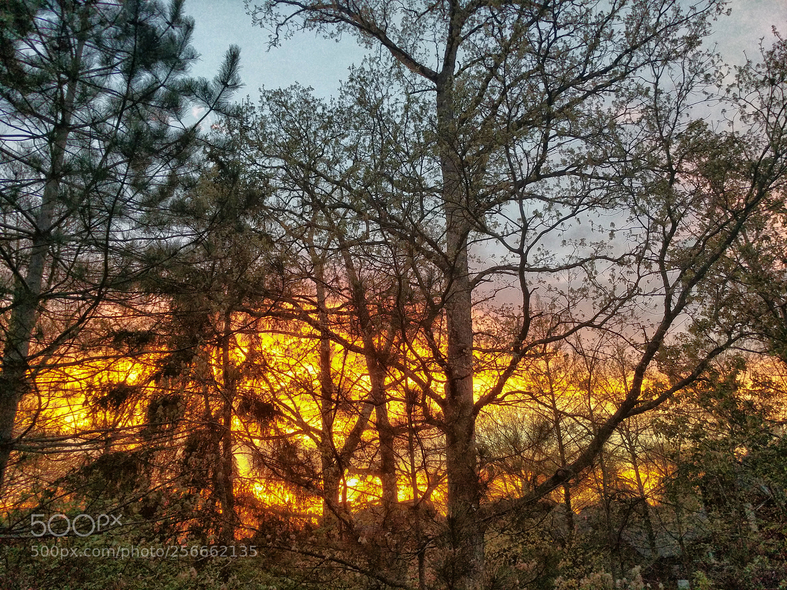 Google Pixel XL sample photo. Sky on fire photography