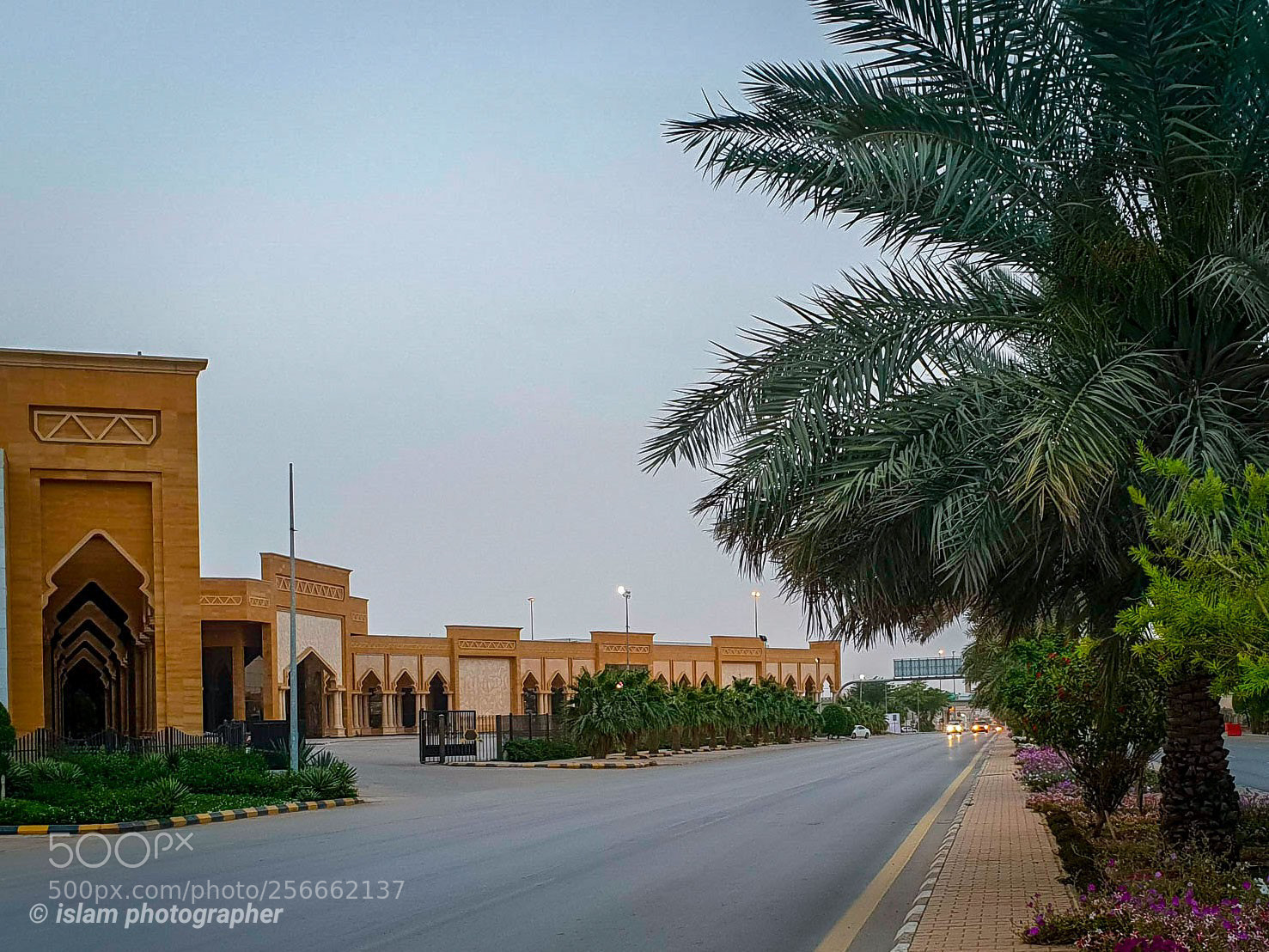 Samsung Galaxy S9+ sample photo. Outside view photography
