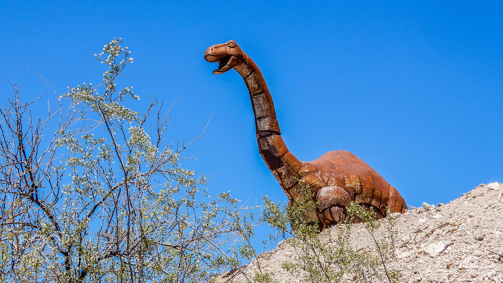 Nikon Coolpix A900 sample photo. Wickenburg, arizona photography