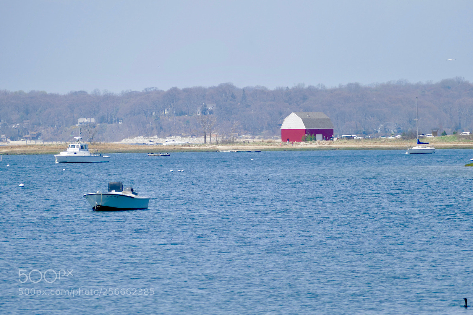 Panasonic Lumix DMC-FZ1000 sample photo. Centerport, ny photography