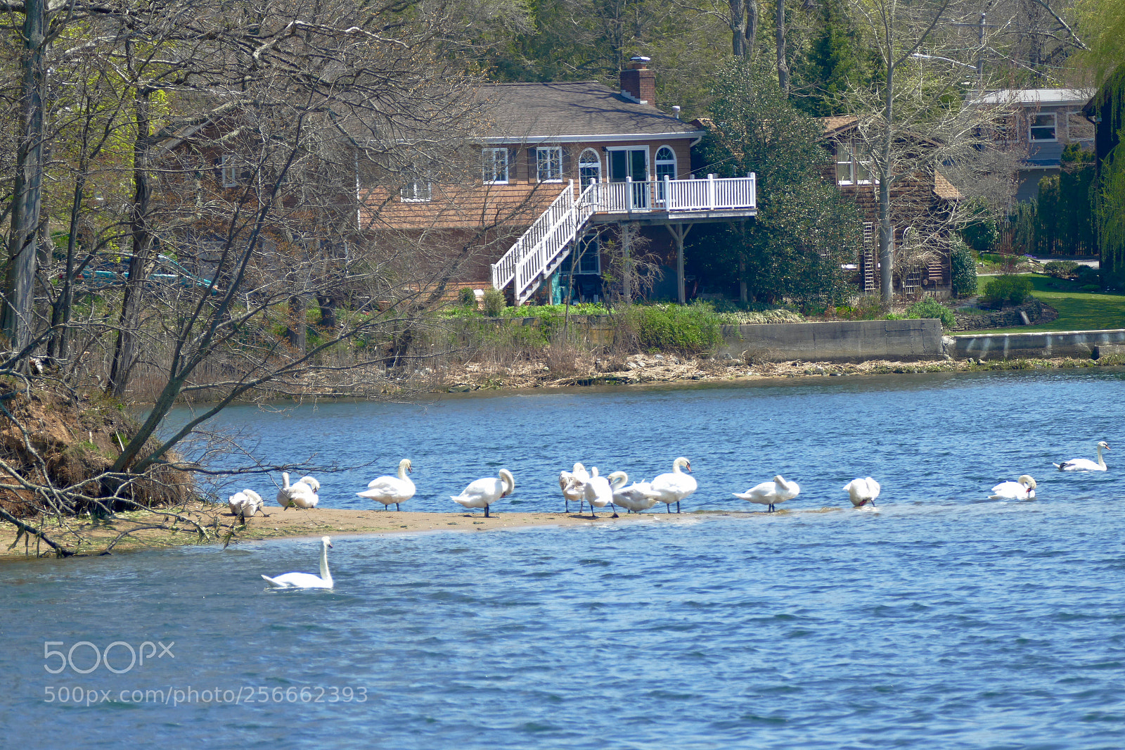 Panasonic Lumix DMC-FZ1000 sample photo. Centerport, ny photography