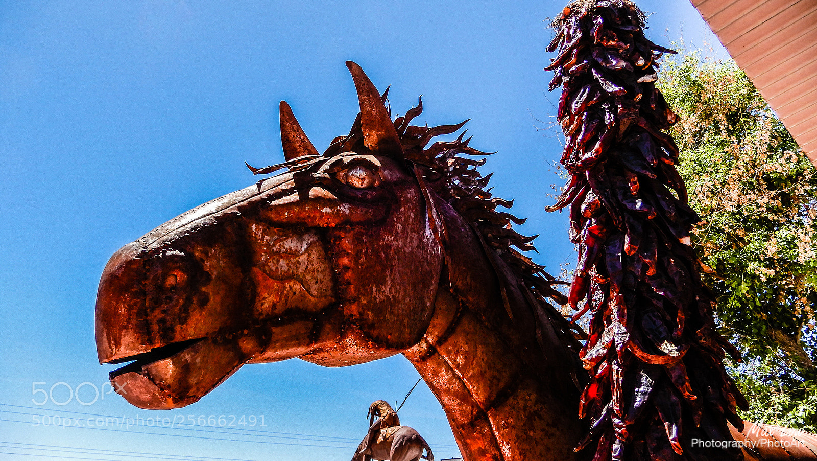 Nikon Coolpix A900 sample photo. Wickenburg, arizona photography