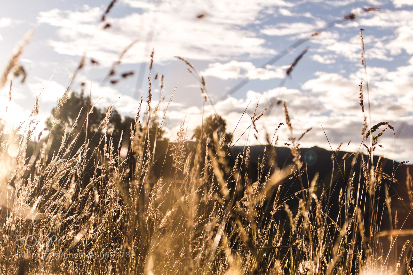 Canon EOS 700D (EOS Rebel T5i / EOS Kiss X7i) sample photo. Sunrise photography