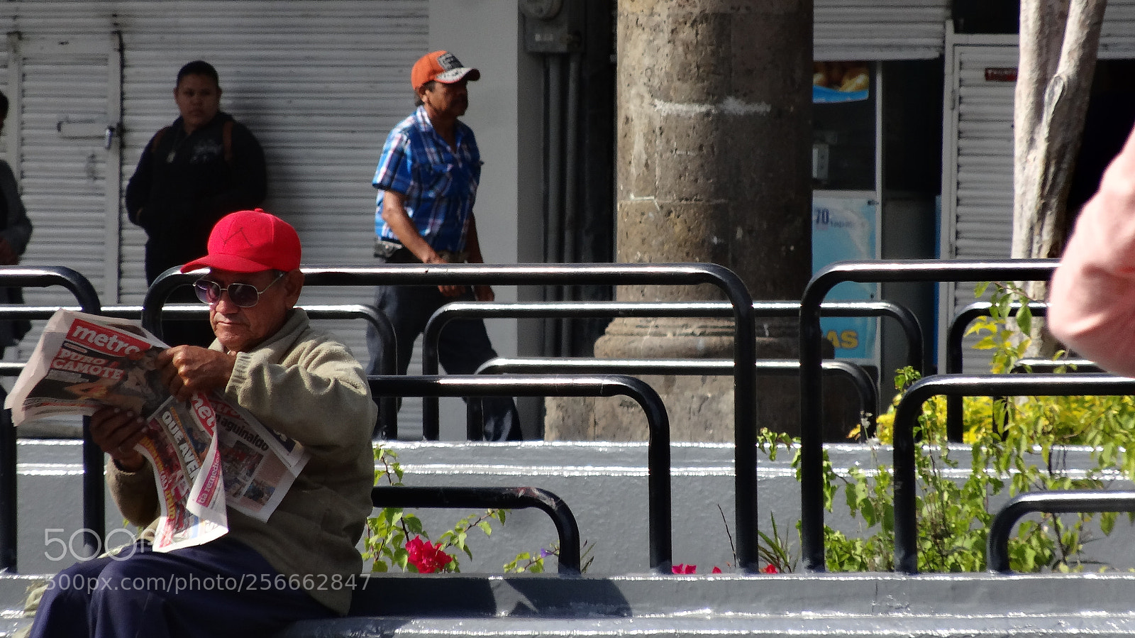 Sony Cyber-shot DSC-HX20V sample photo. Vida cotidiana photography