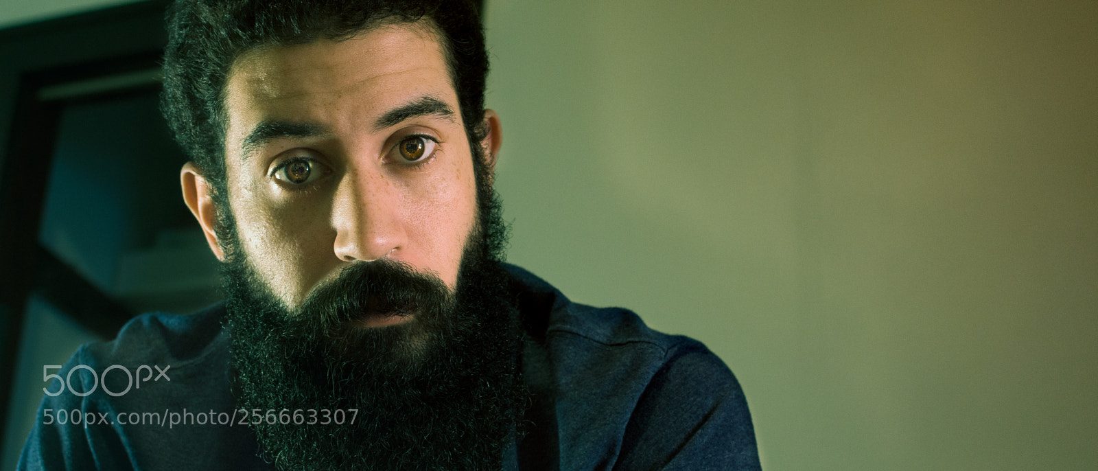 Nikon D7200 sample photo. Evihl! photography