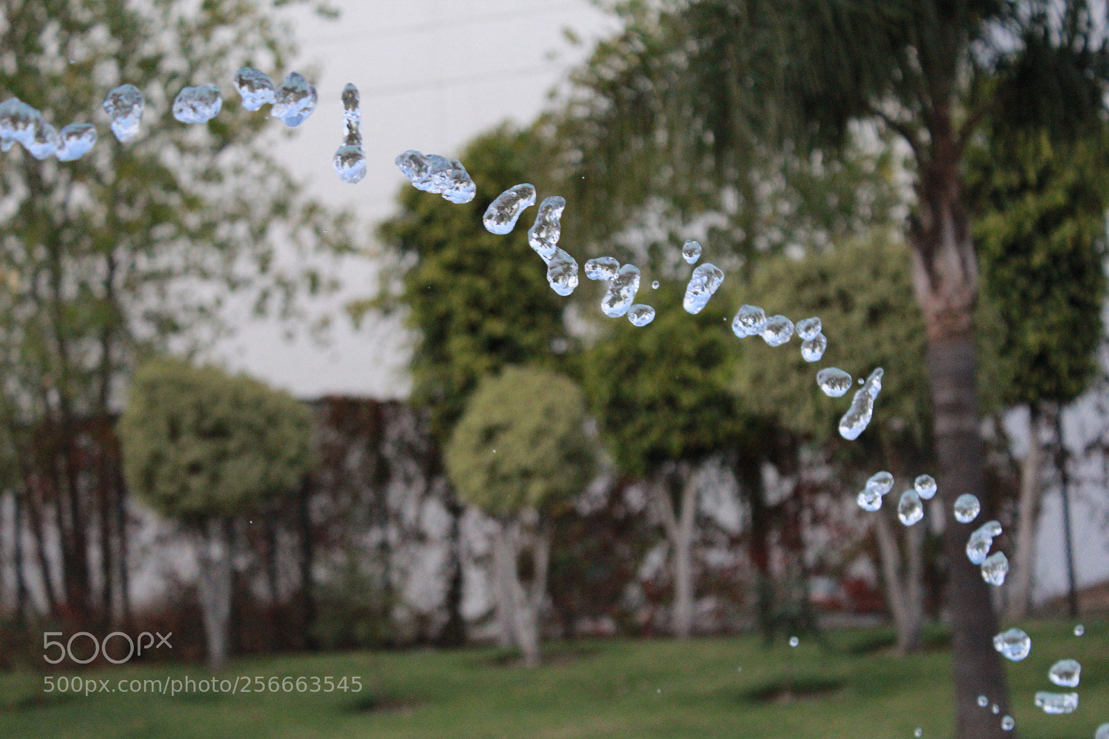Canon EOS 600D (Rebel EOS T3i / EOS Kiss X5) sample photo. Gotas. photography
