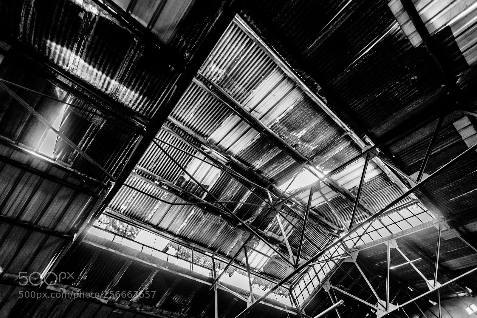 Canon EOS 70D sample photo. Steel roof photography