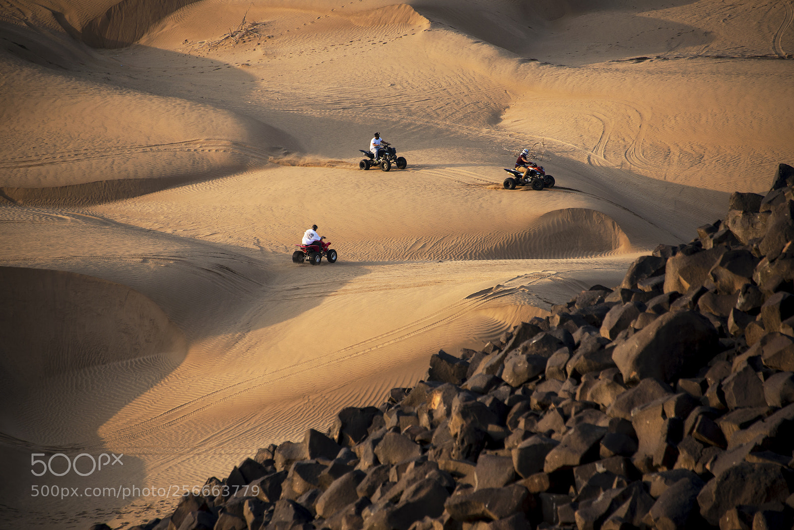 Nikon D800E sample photo. Men on dune buggies photography