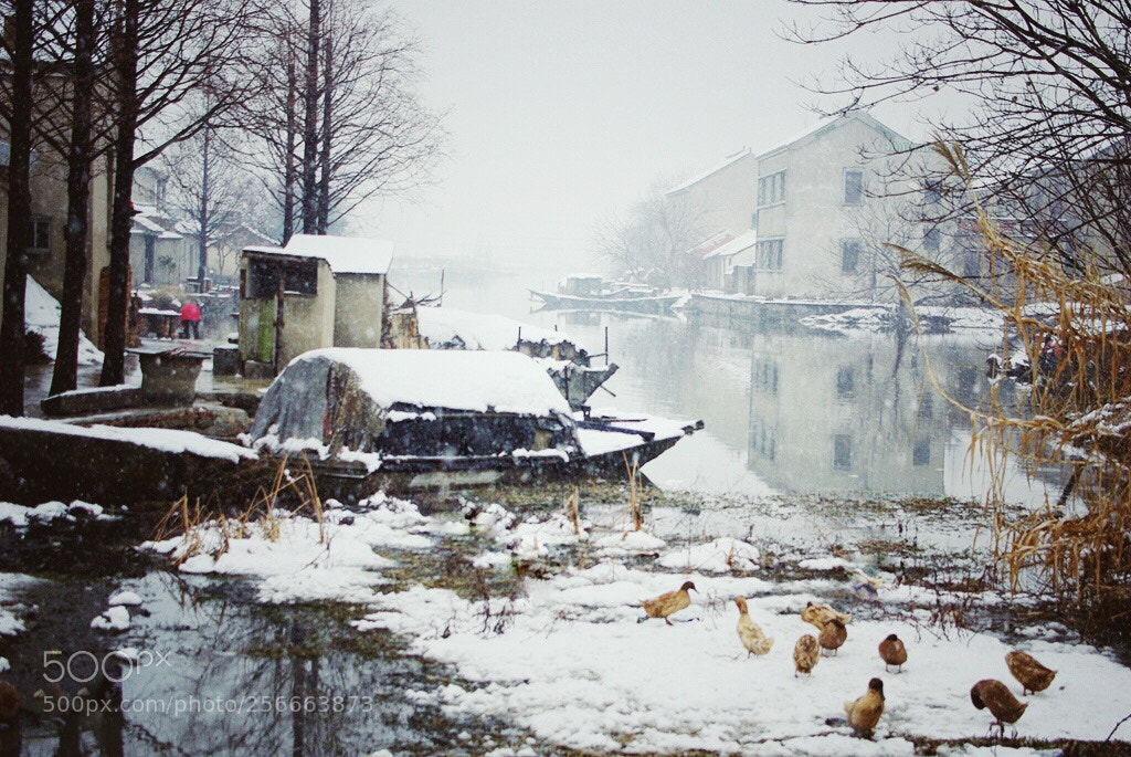 Pentax K10D sample photo. Untitled photography