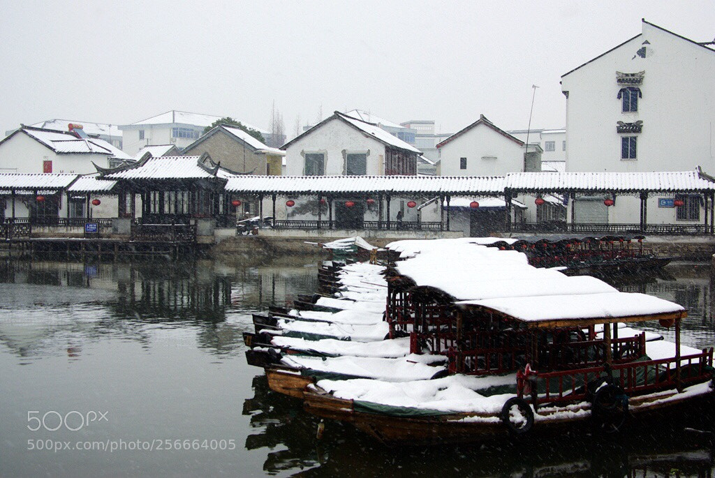 Pentax K10D sample photo. Untitled photography