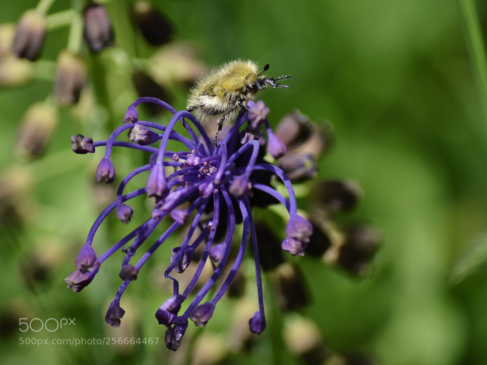 Nikon D3200 sample photo. Untitled photography